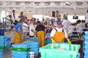 11 SANTA POLA PORT DE PECHE (36)